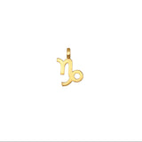Charm del Zodiaco Capricornio