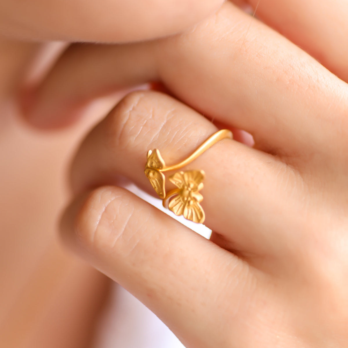 Anillos